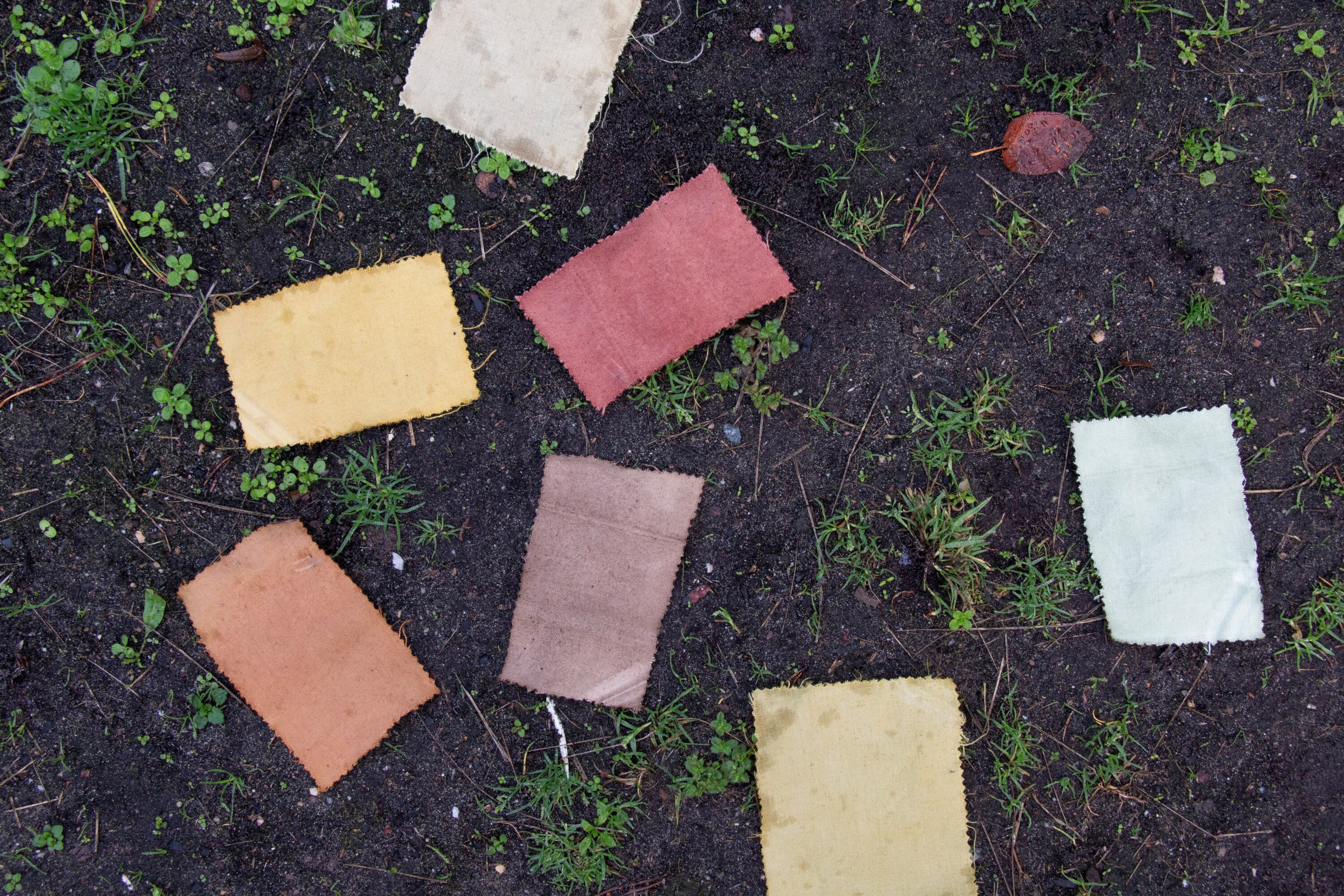 Bunte Stoffrechtecke liegen auf einem Boden aus Erde und kleinen Pflanzen.