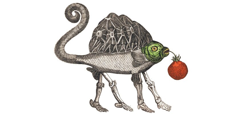 11-Jan-Svankmajer.jpg?w=900&fm